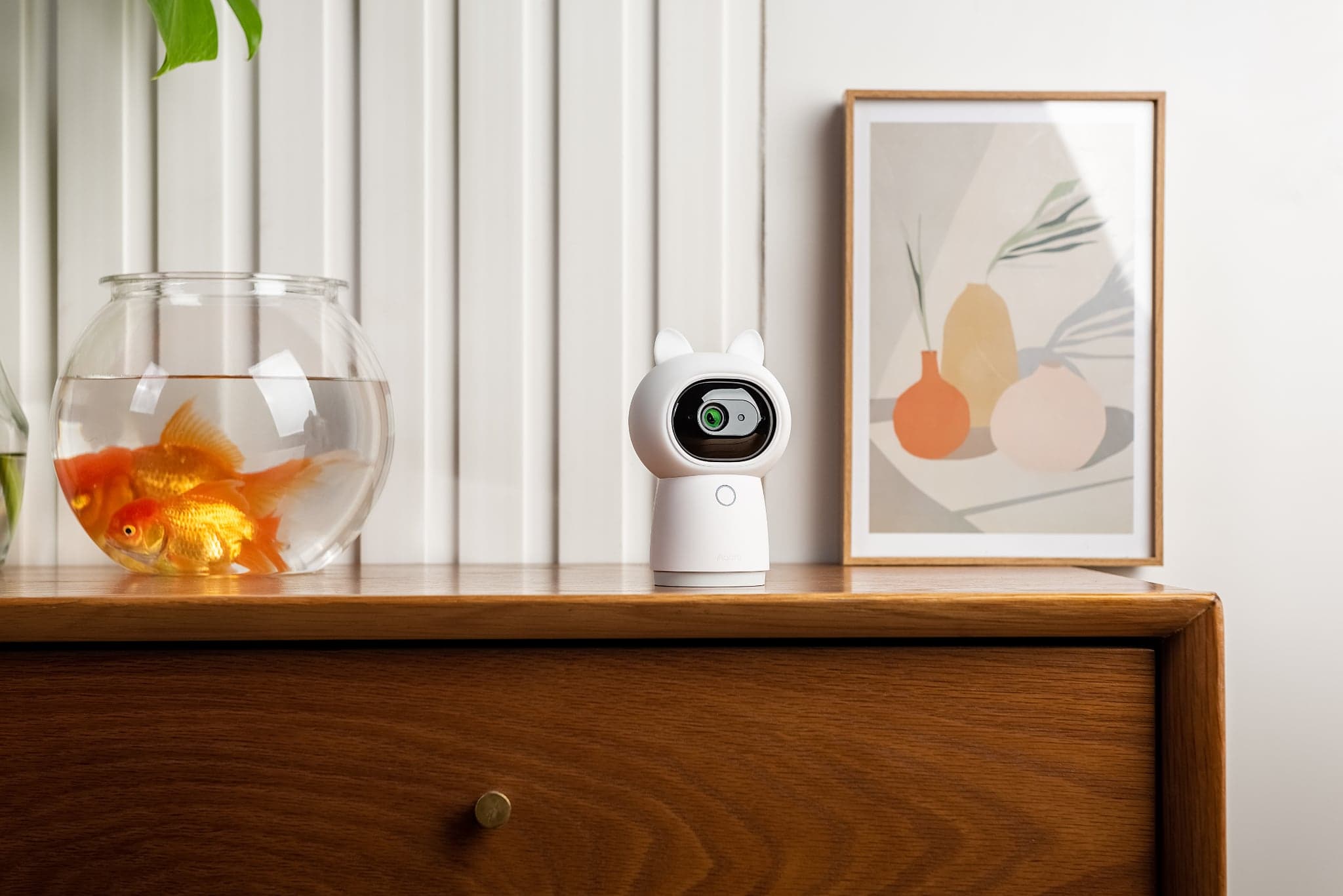 Aqara Security Focused